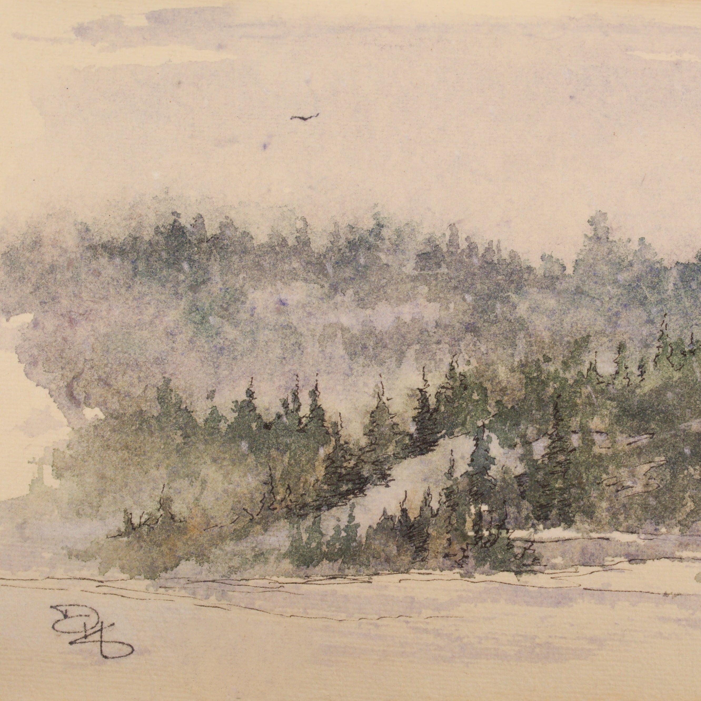 Snowy Mountainside