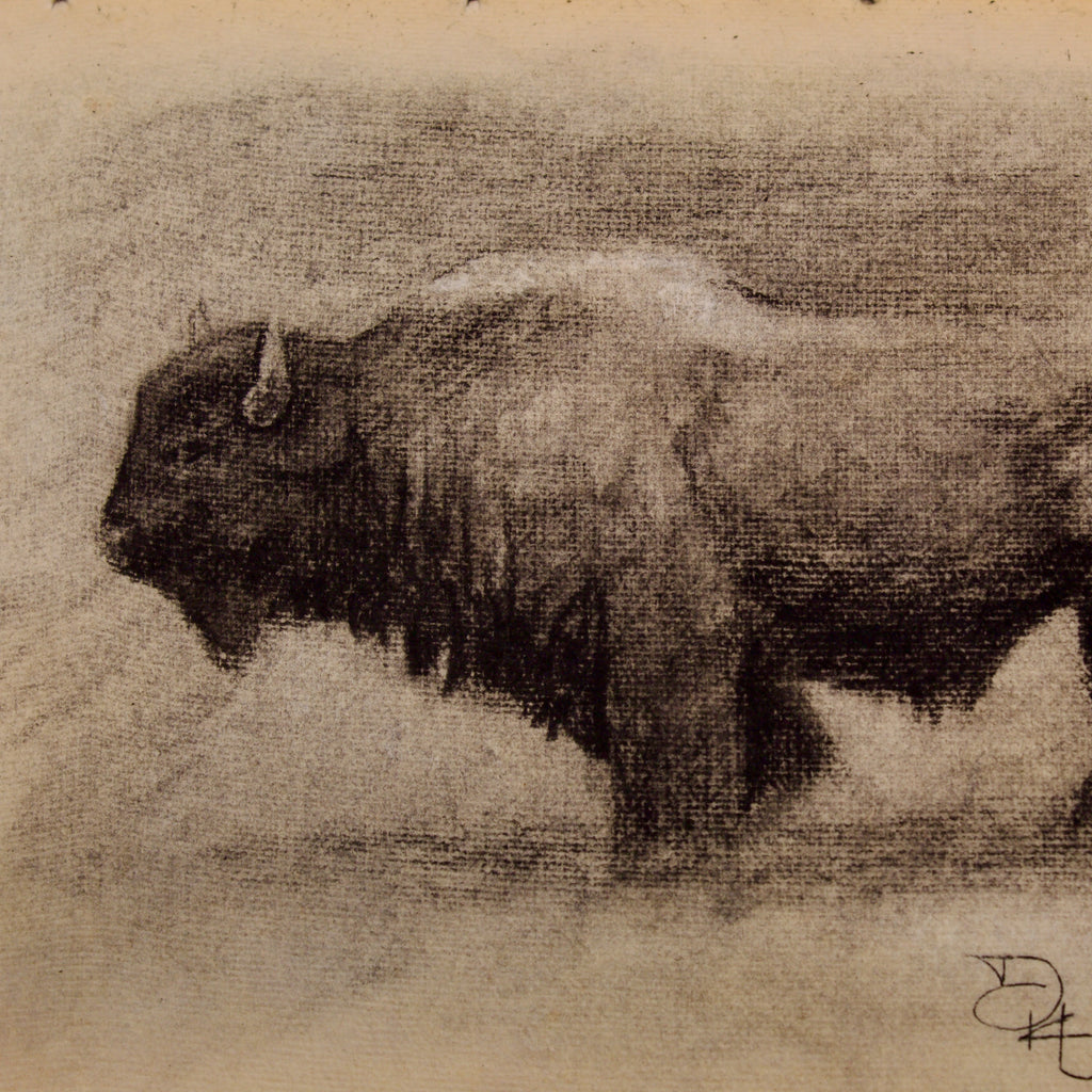 Buffalo