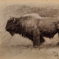 Buffalo