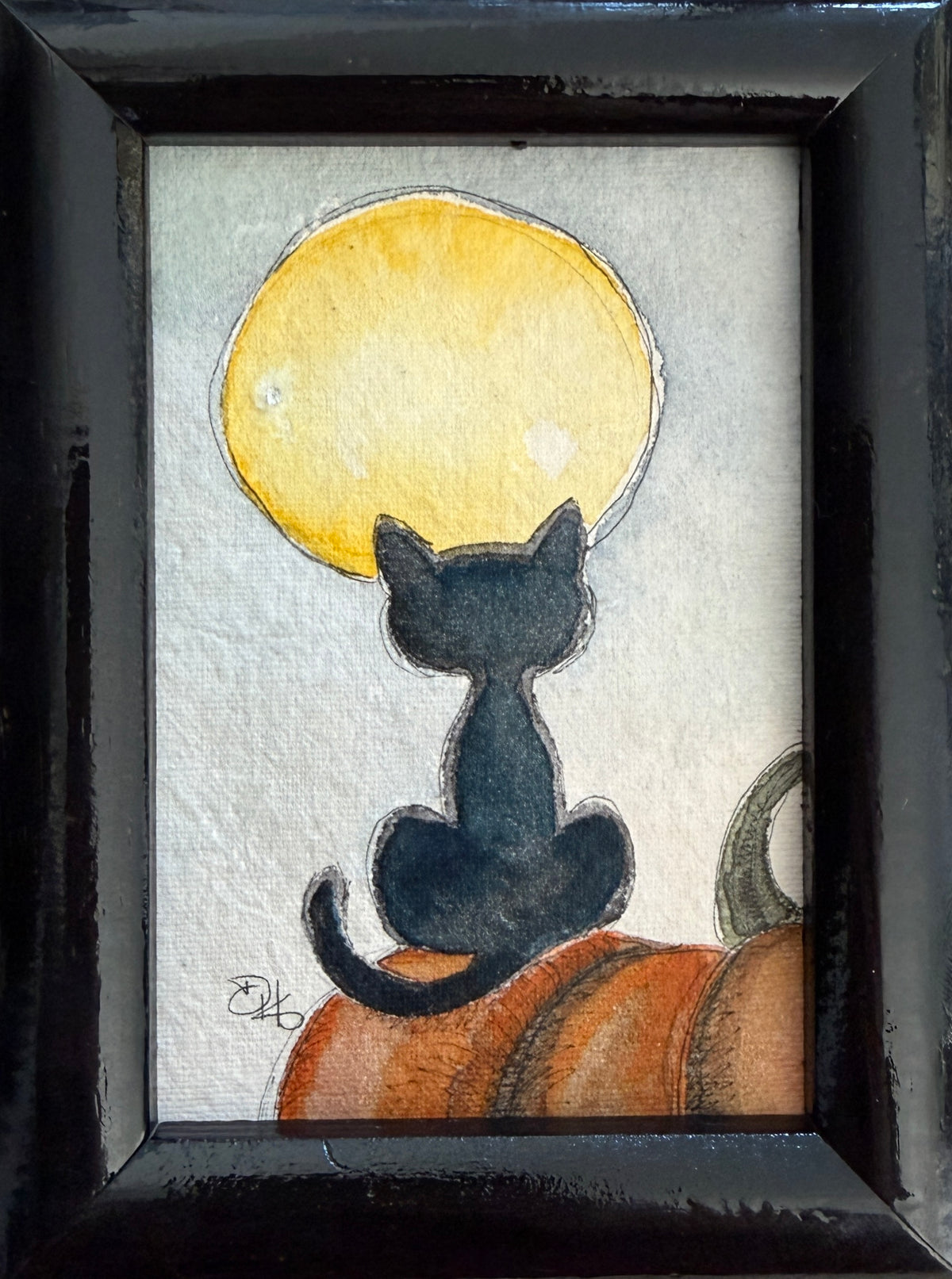 Perched on the Pumpkin Patch