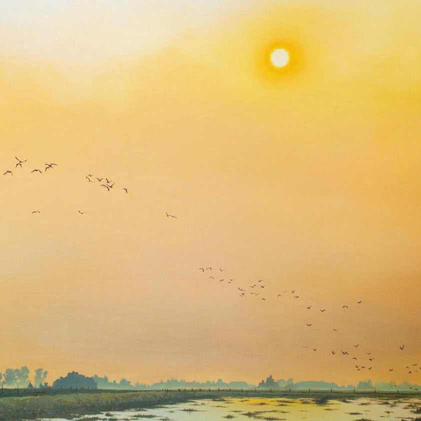 Birds in Flight