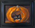 Scaredy Cat